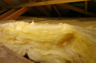 Bray pitch roof insulation